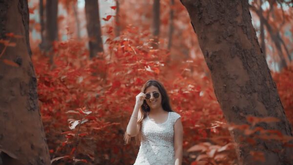 Color Grade Hollywood Style 2.0